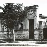 vatutina_w2