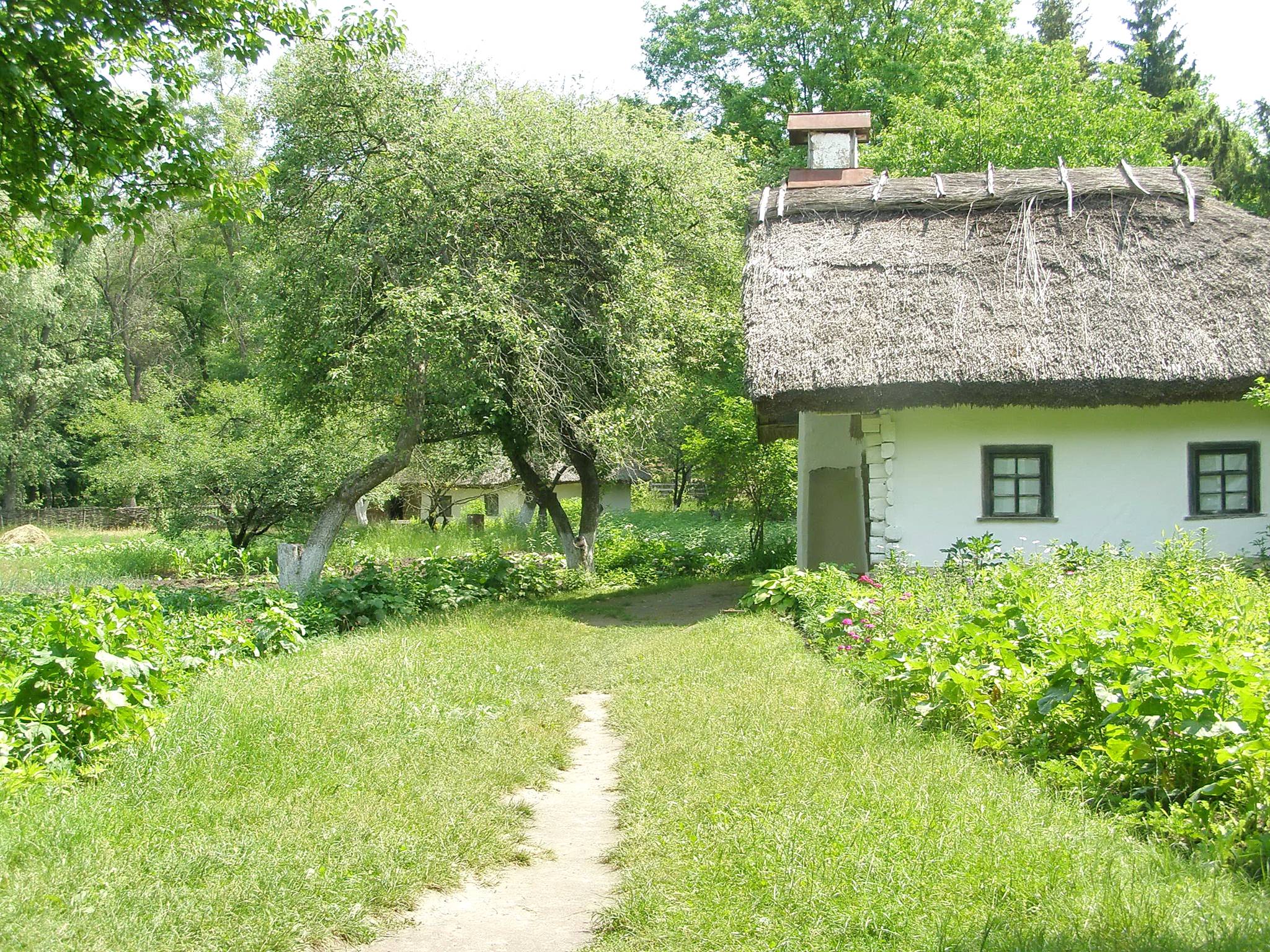 image016