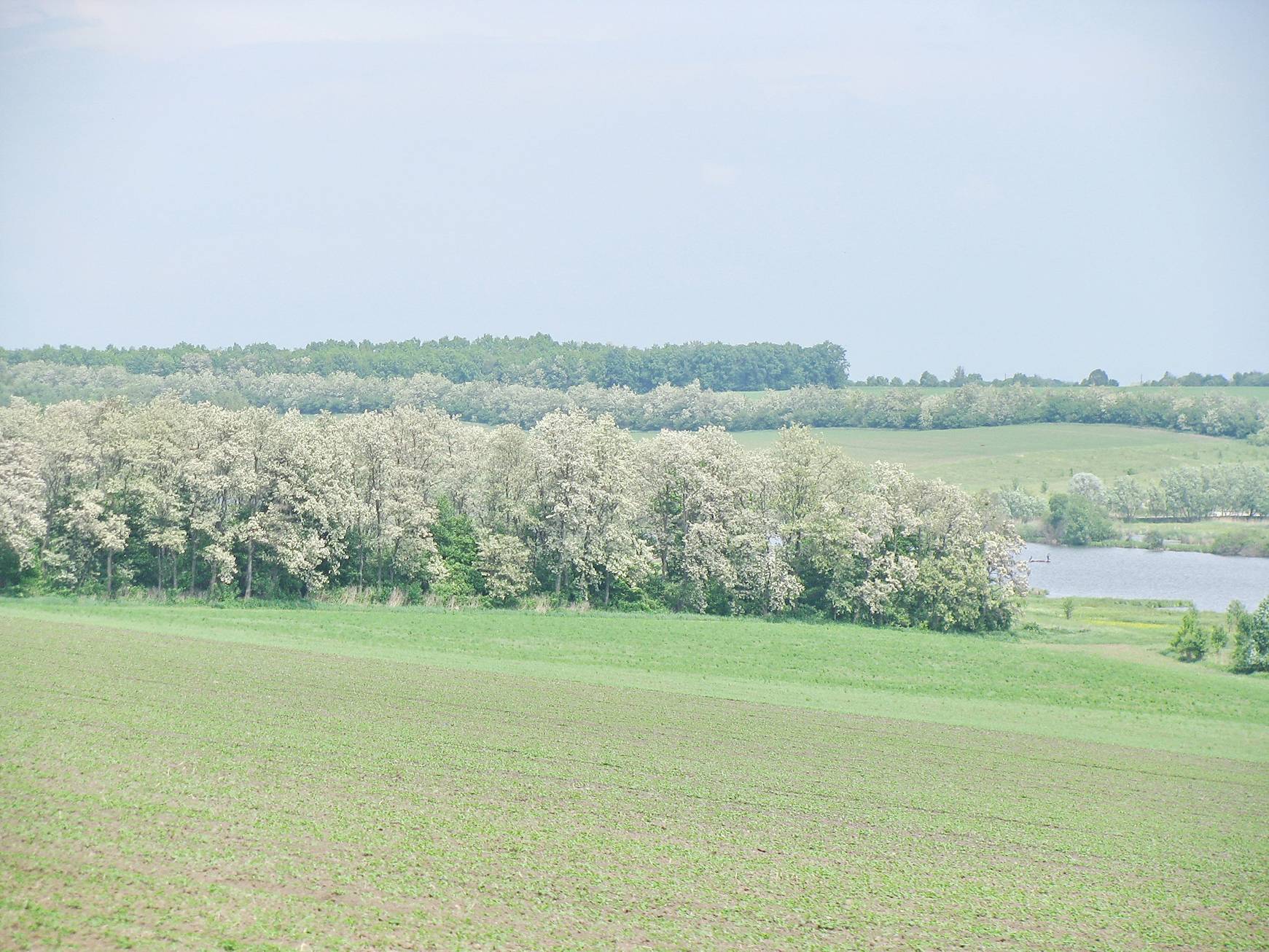 image010