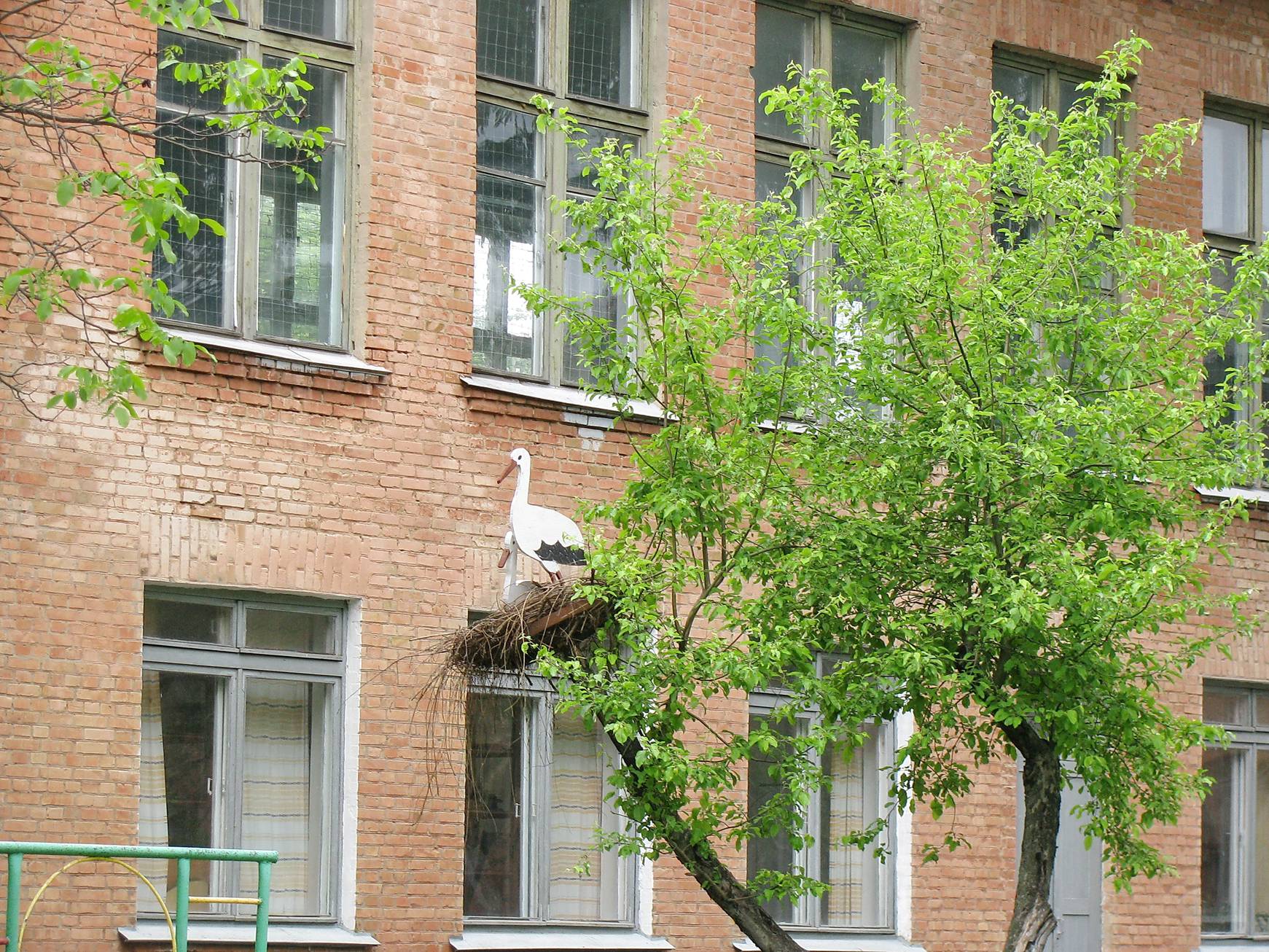 image012