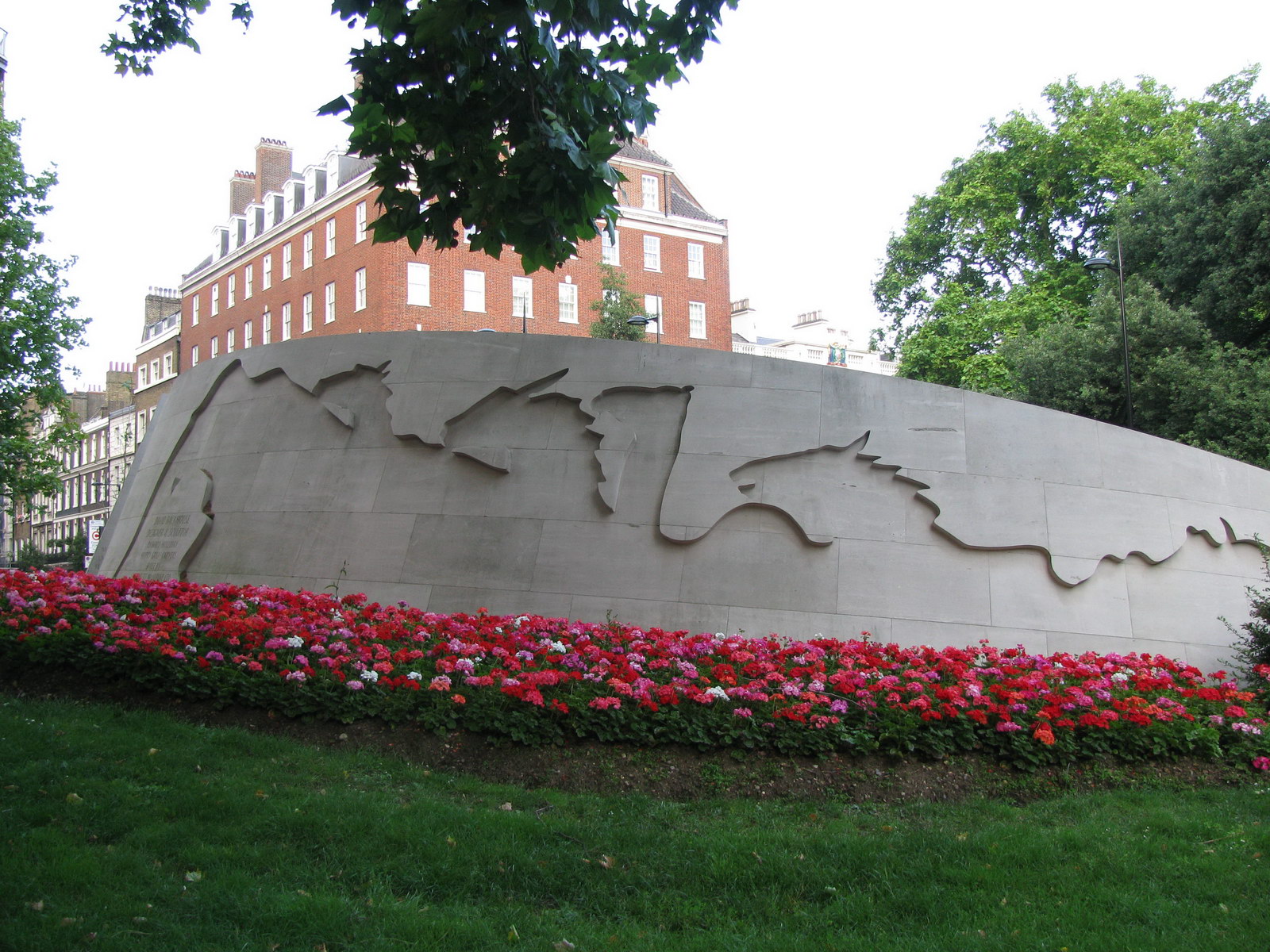 IMG 0669