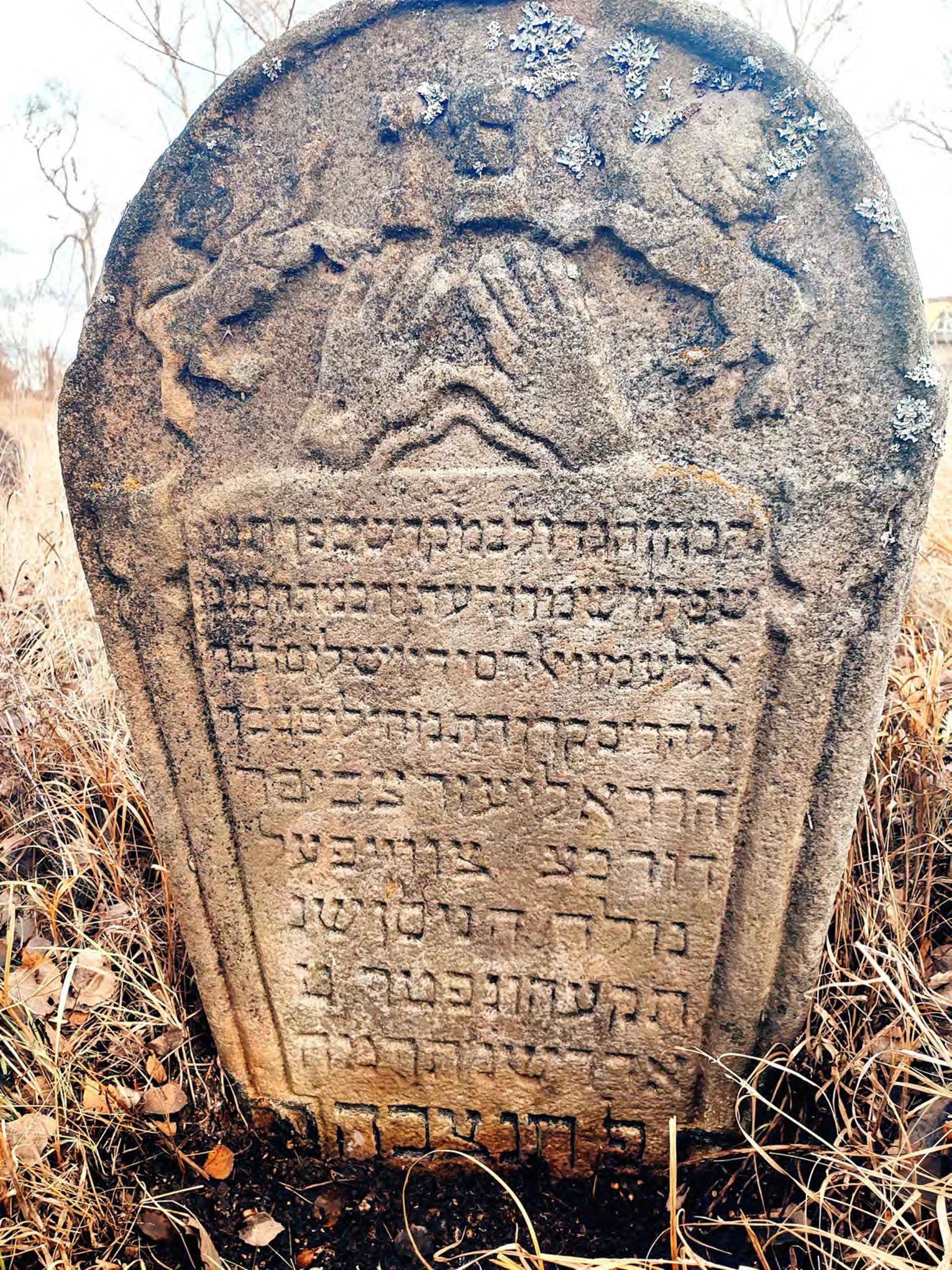 цвейфель мацева глухів